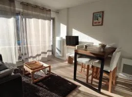 Appartement cosy Saint Lary village