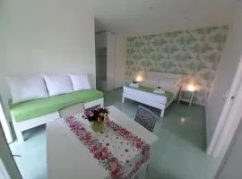 Chamaedorea