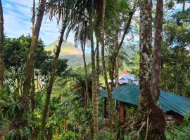 Rimba eco Resort, cabin in Tomohon