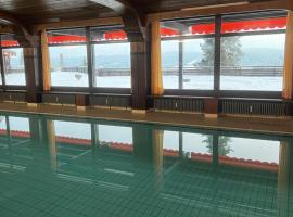 Apartment Schwarzwald-Anni Pool Tennis Sauna, hotel din Obertal