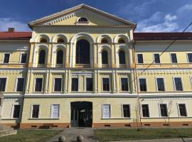 Palatul Lugoj, apartment in Lugoj