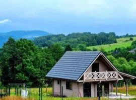 Domek pod Ostoją Góry Sowie