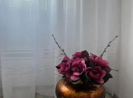 Apartament Tudor