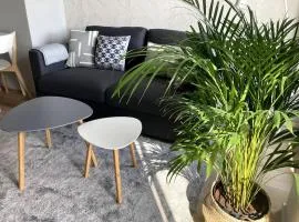 Słoneczny apartament z garażem przy Parku Kościuszki