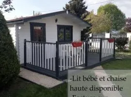Chalet climatisé et chauffé a Faverges de la Tour