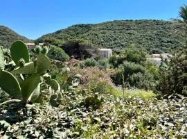Maison de maitre au charme d'antan Bonifacio