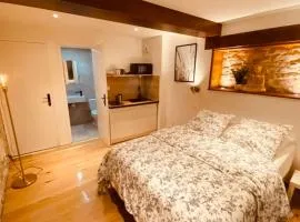 Studio rénové avec patio, coeur du centre ville