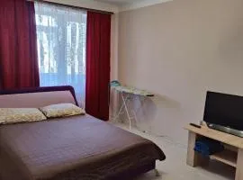 Квартира 1-кімнатна в центрі Миргорода.