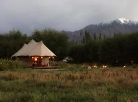 Chamba Camp Thiksey