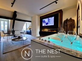 The Nest. duplex jacuzzi hyper centre de Senlis, apartment in Senlis