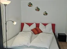 Studio Mario