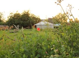 Todo se pasa Yurt, luxury tent in Sauwerd