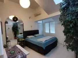 Sweet Apartments or Rooms