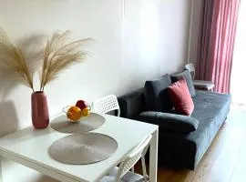 Apartament Agaciula