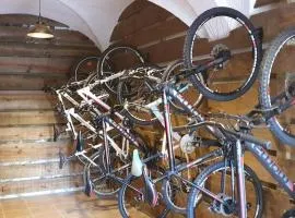 Cal Curpets - Bicicletas FREE