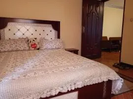 Fully furnished condo in the center of addis ababa