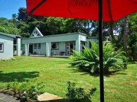 The Tree Of Idleness Guesthouse