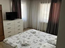 Apartament 3 Central