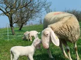 B&B Naturin - Eco Farm