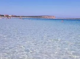 il telaio sardo Bonarcado