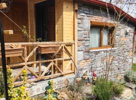 Silenos Bungalow Stone House, pet-friendly hotel in Konya