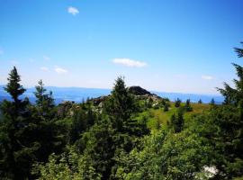 Idyllisch gelegene Ferienwohnung im Herzen des bayerischen Waldes, Ferienunterkunft in Zachenberg