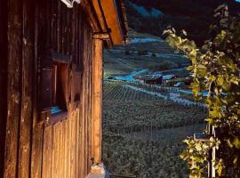 Magnifique Mazot Dans Les Vignes, viešbutis su vietomis automobiliams mieste Martigny-Combe