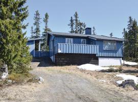 3 Bedroom Amazing Home In Sjusjen โรงแรมในSjusjøen