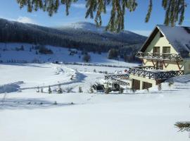 Gościniec Janowa Góra, отель в городе Строне-Слёнске, рядом находится Proca Ski Lift