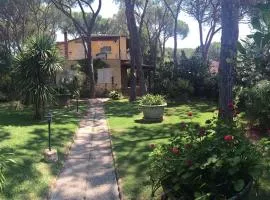 Villa Aurelia, 70m from the sea