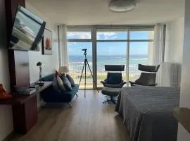 Studio neuf 35m² pour 3 pers, vue mer, WIFI, parking privatif - FR-1-478-39