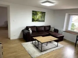 Apartament cozy