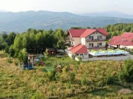 Pensiune Runcu Stone