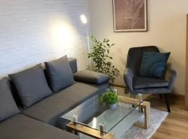 Apartment, sun terrace, privat parking