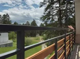 Rajski Bor Tara 2 Jednosoban