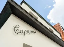 CAPRINO Guesthouse