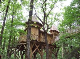 Châteaux dans les Arbres: Clottes şehrinde bir orman evi