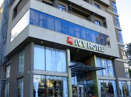IVY Hotel Addis Ababa Airport branch, hotel in Addis Ababa