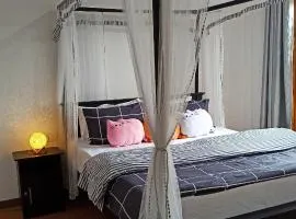 Mount Elegance