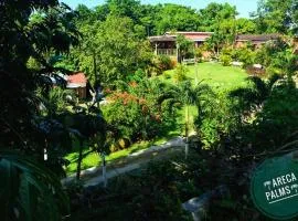 Areca Palms