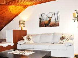 Cozy Loft with Fireplace & View, cheap hotel in Metsovo