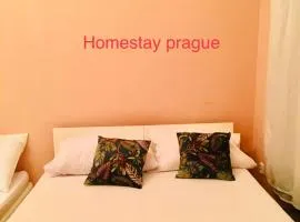 Hotel flat in Centre Prague 2