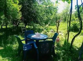 Cozy 2 floor house with beautiful green garden