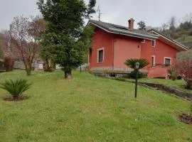 la tana nel bosco
