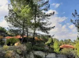 IRENE cottage