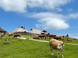 Chalet Korosica Velika Planina