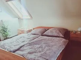 Panoramablick Hohenrode