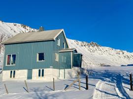 The Blue House in Lofoten, mökki Alstadissa