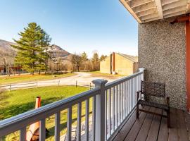 Hunter Mountain Ski House - A Cozy Retreat by the Slopes, family hotel in Hunter
