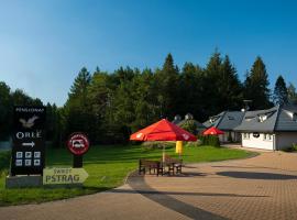 Pensjonat Orle, Hotel in Krynica-Zdrój